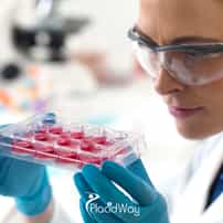 Top 7 Destinations with 15 Stem Cell Therapy Clinics Worldwide